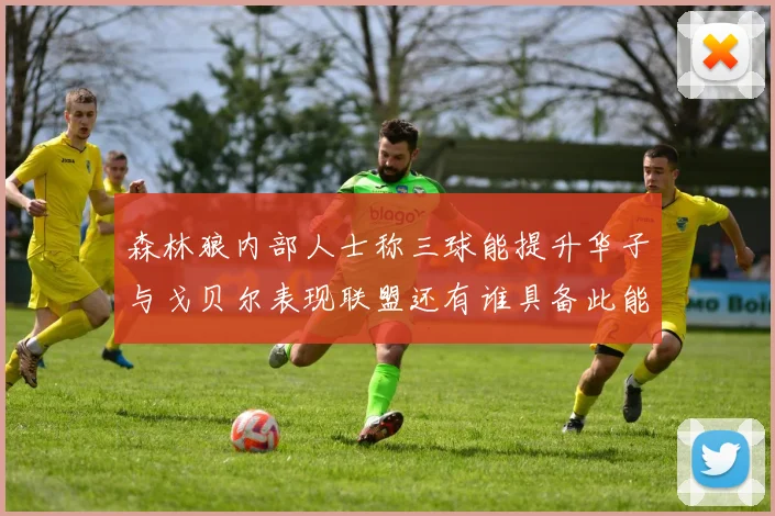 森林狼内部人士称三球能提升华子与戈贝尔表现联盟还有谁具备此能力