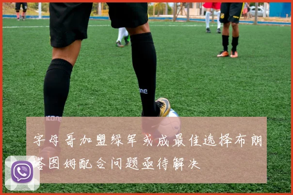字母哥加盟绿军或成最佳选择布朗塔图姆配合问题亟待解决
