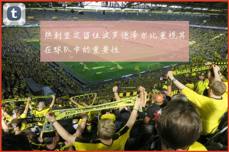 热刺坚定留住波罗德泽尔比重视其在球队中的重要性